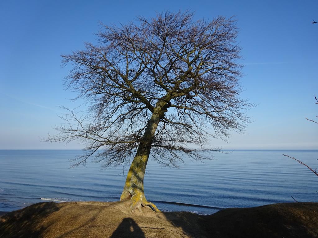 Solrosen I Simrishamn - Oesterlen 외부 사진